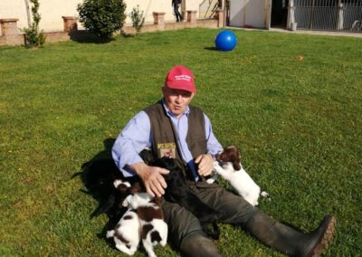 Allevamento cani Springer Spaniel e Cocker Spaniel